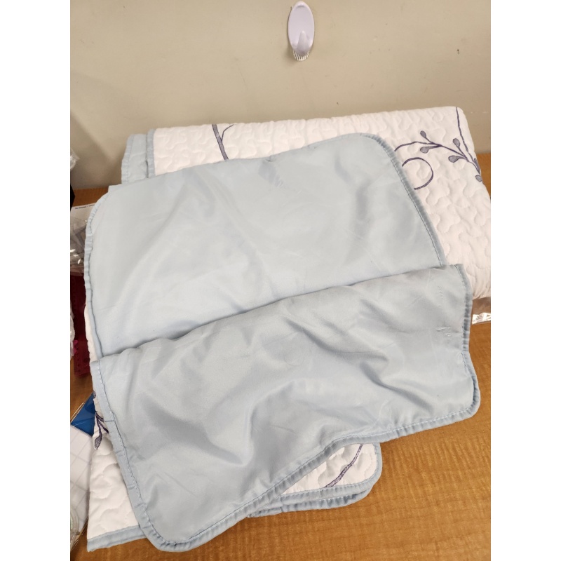 BIN36vc Queen light quilt  flowers powder blue backing (good condition)