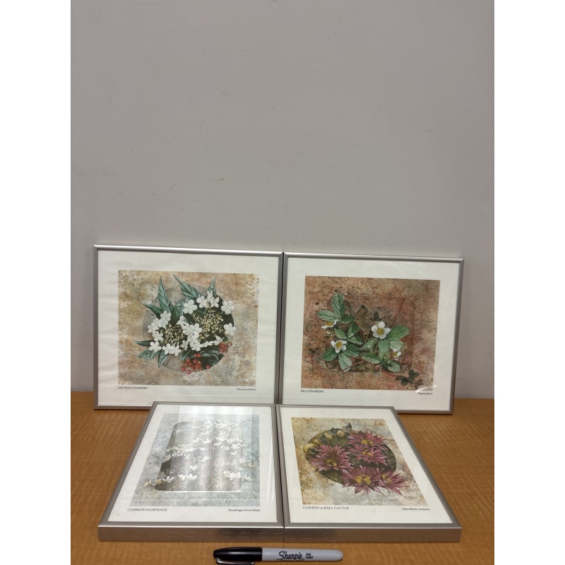 LG6 ts set of four floral prints