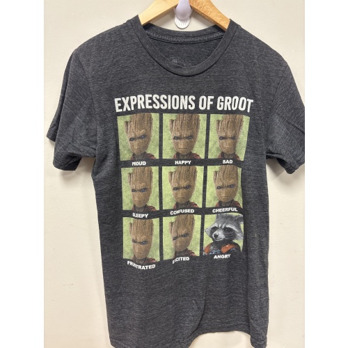 Bin41 ts Groot men’s small grey t shirt