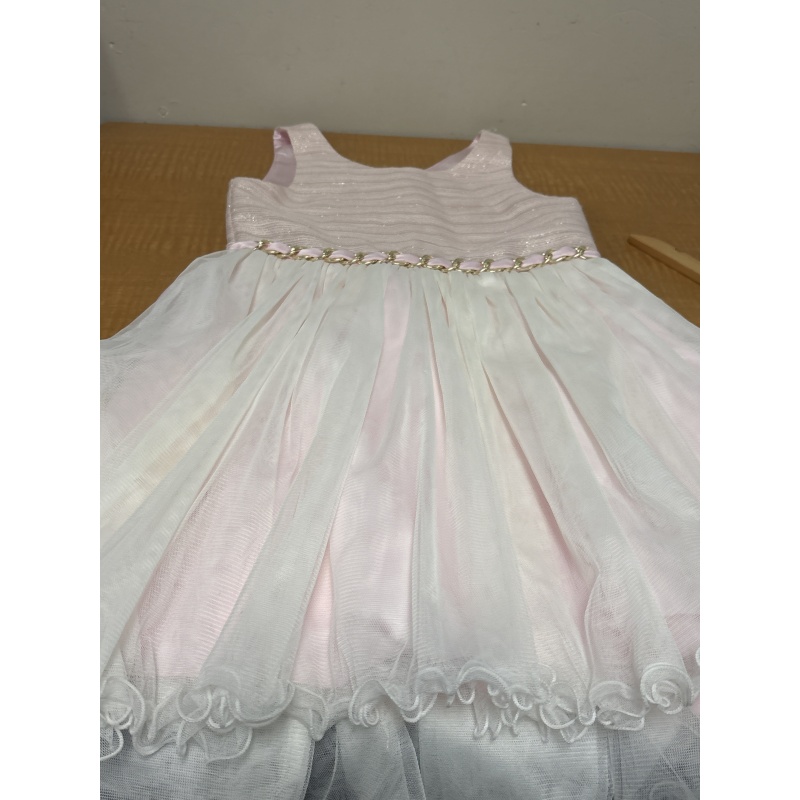 Bin29 ts American Princess girls 12 pink dress