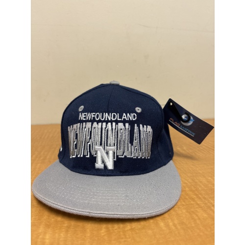 Bin33 ts New Newfoundland navy/grey adult one size cap