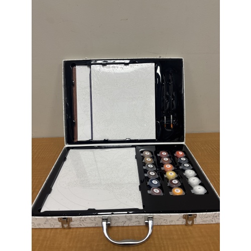 Bin93 ts Paint by numbers kit